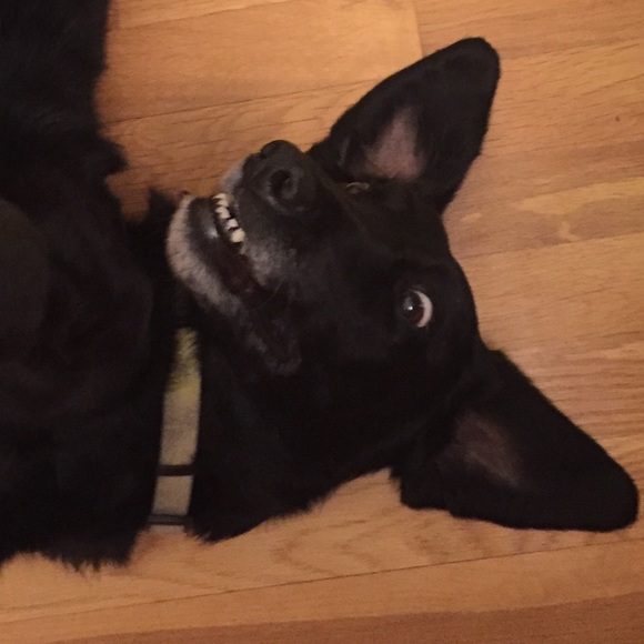 Meet your Posher, Leah - Picture 1 of 1